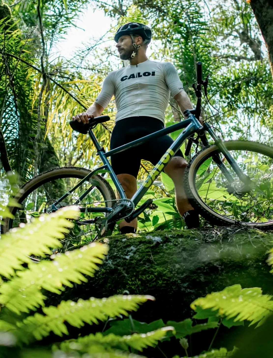 home-carousel-image-5